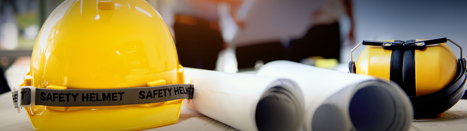 Professional Project Management Services