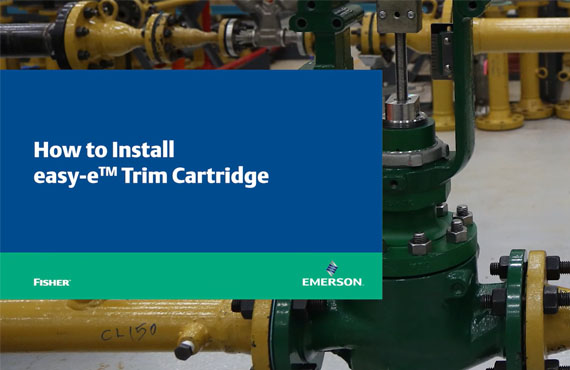 Effortless Valve Repair Effortless Valve Repair