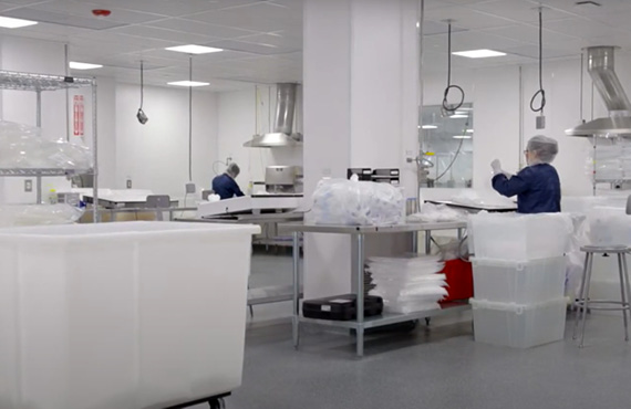 Purity in Fluid Flow Systems®