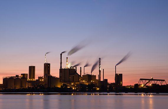 Pulp & Paper Pulp & Paper